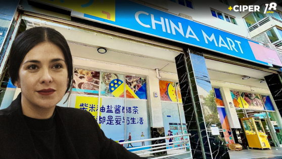 Caso Chinamart: diputada Carol Kariola prestó declaración en calidad de imputada por casi 10 horas