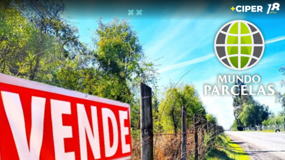 Caso Mundo Parcelas: una notaría reportó a la UAF posibles delitos en venta masiva de terrenos, pero la fiscalía no fue alertada