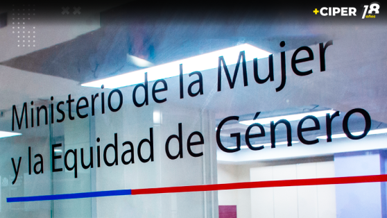 Desvinculación de la jefa del SernamEG: yerno de la ministra Ximena Rincón asume como director subrogante